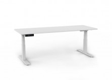 Motion Sit And Stand Electric Straight Desk With Ecotech Top With Preset Control Panel. Variety Of Sizes